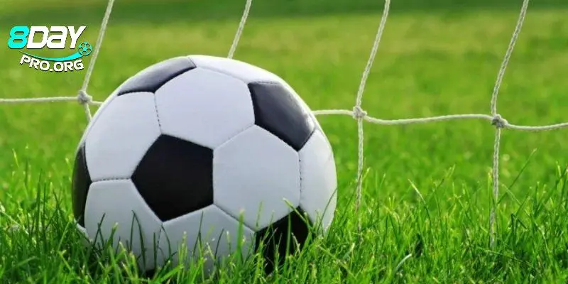 Kèo đẳng cấp trên đấu trường casino